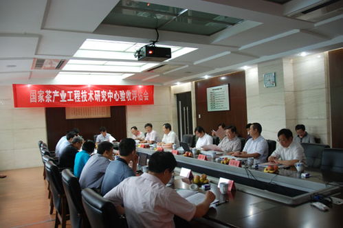 焦点评析 从“技术验收到效能转化”审视国家茶产业与工程建设的同步演进